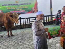 Sejarah Baru! Wali Kota Neni Serahkan Sapi dari Presiden Prabowo ke Takmir Masjid Tua
