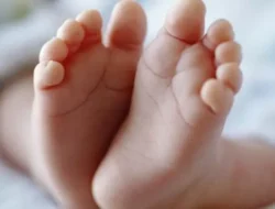 Sangatta Utara Kembali Geger, Penemuan Mayat Bayi Terjadi Lagi