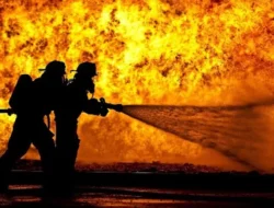 72 Personel Disdamkartan Dipertahankan, Tidak Jadi Diputus Kontrak