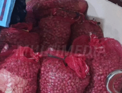 Dua Wanita di Samarinda Seberang ‘Garong’ Stok Bawang Milik Keluarga Sendiri