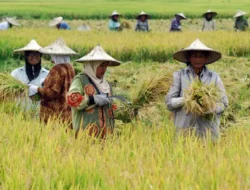 NTP Kalimantan Timur Desember 2025 Turun 0,30 Persen, Dipicu Kenaikan Biaya Produksi