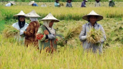 NTP Kalimantan Timur Desember 2025 Turun 0,30 Persen, Dipicu Kenaikan Biaya Produksi