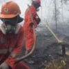 Titik Panas di Kaltim Tercatat Puluhan, Berikut Penjelelasan BPBD
