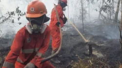 Titik Panas di Kaltim Tercatat Puluhan, Berikut Penjelelasan BPBD