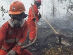 Titik Panas di Kaltim Tercatat Puluhan, Berikut Penjelelasan BPBD