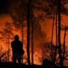 572,83 Hektare Lahan di Kaltim Ludes Terbakar Dalam 25 Hari