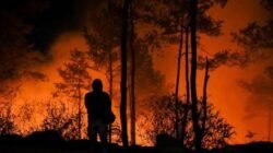572,83 Hektare Lahan di Kaltim Ludes Terbakar Dalam 25 Hari