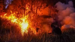 Bakar Lahan 5 Hektare, Pria di Kutim Dibekuk Polisi